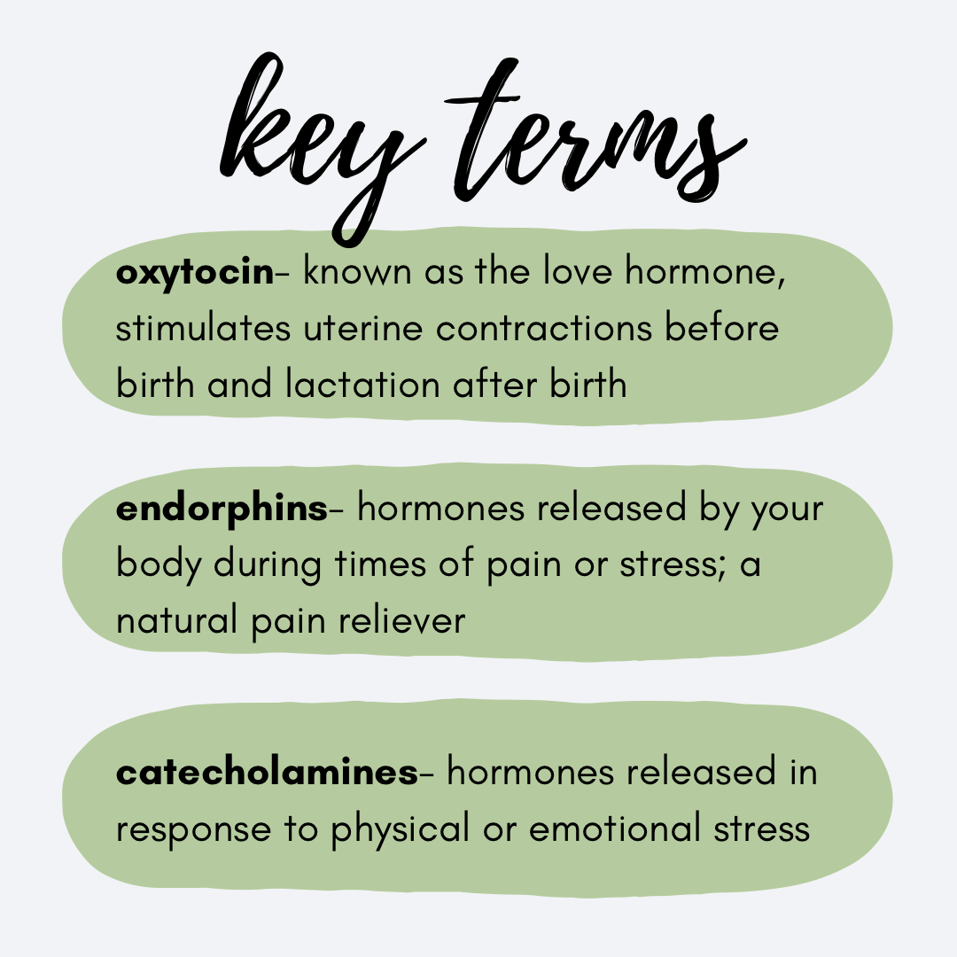 Definition of key terms oxytocin, endorphins, catecholamines