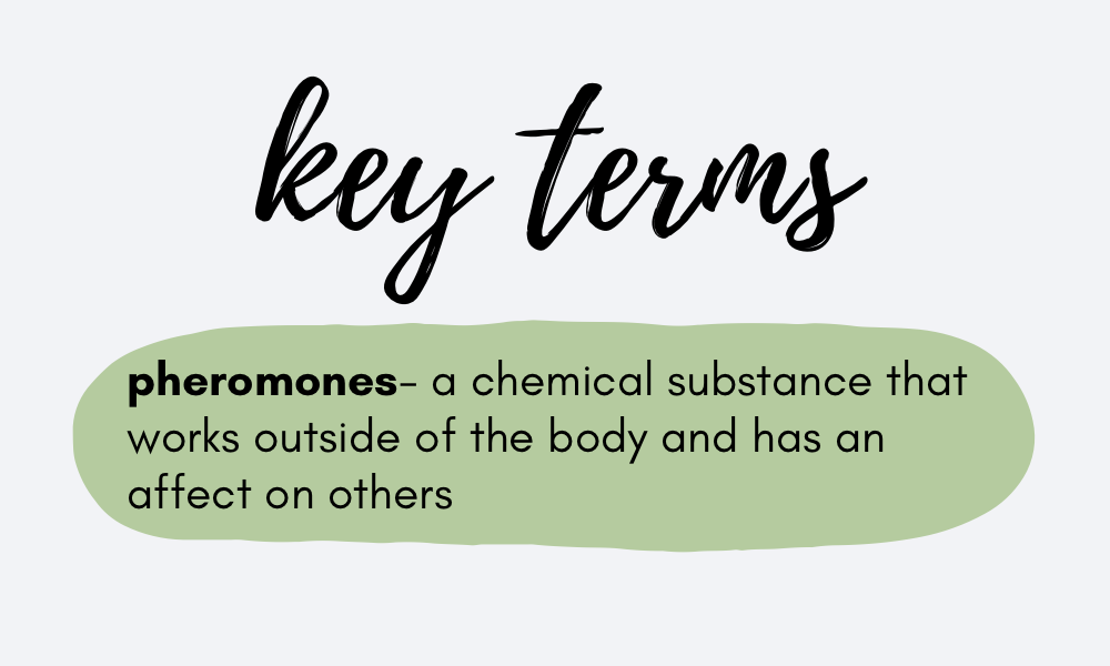 Definition of the term pheromones