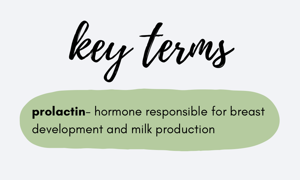 Definition of prolactin